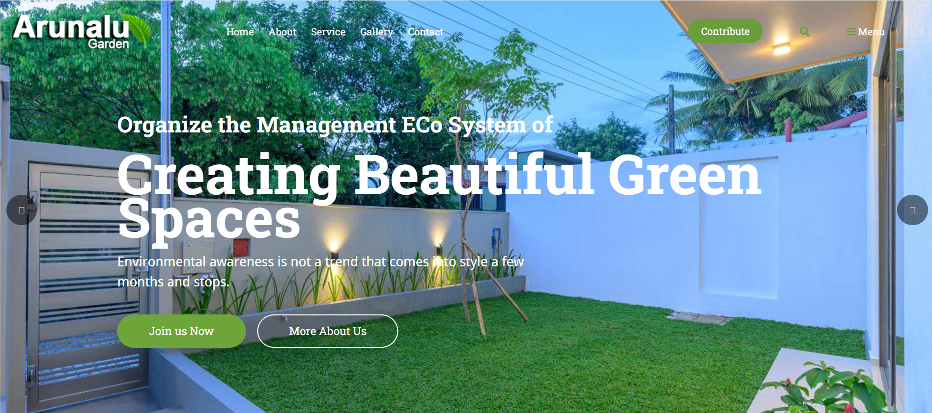 Web Studio Custom Services