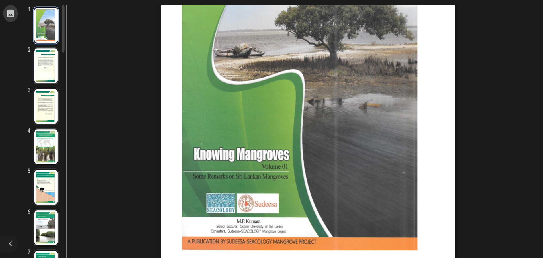 Web Studio Custom Services